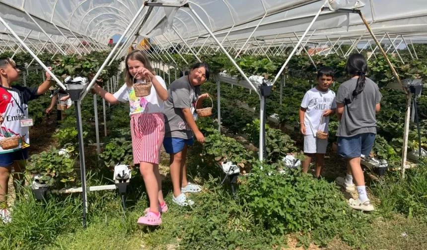 Doğanın kalbinde bir yaz masalı