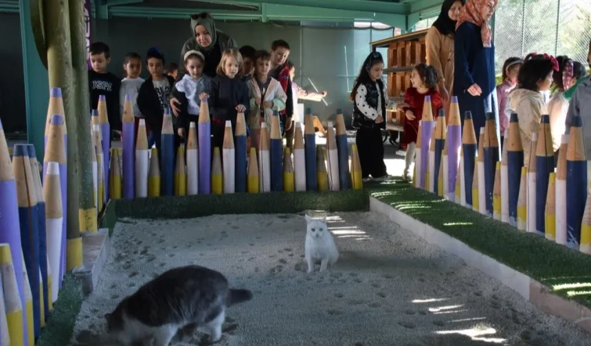 Kayseri Kocasinan'da can dostlar için özel kasaba