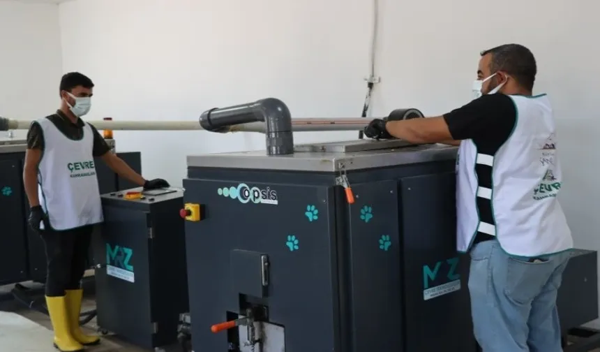 Organik atıklar can dostlara umut oluyor