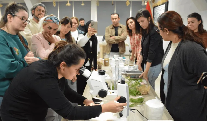 Balıkesir'de 30 kursiyer bitki doku kültürü eğitimi aldı