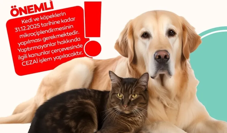 İnegöl'de evde kedi-köpek besleyenlere mikroçip uyarısı