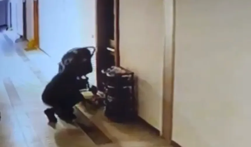 Düzce'de kuryenin ayakkabı hırsızlığı kameraya yansıdı