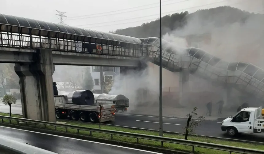 Düzce'de seyir halindeki tırın dorsesinde yangın çıktı