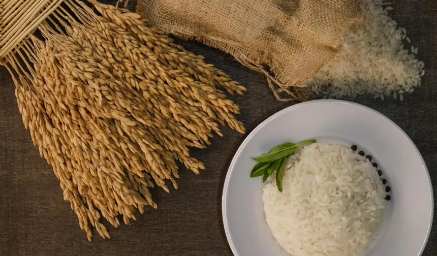 İpsala Pirinci'ne AB tescili... Trakya'nın ilk ve tek AB coğrafi işaretli ürünü