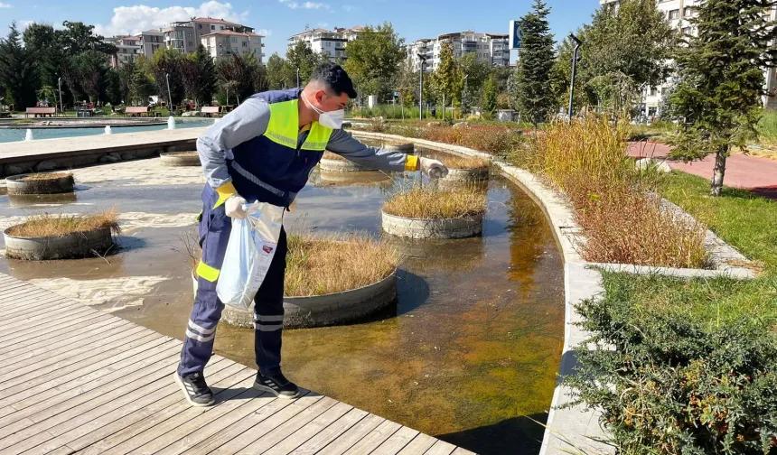 Malatya'da 12 ay kesintisiz vektör mücadelesi