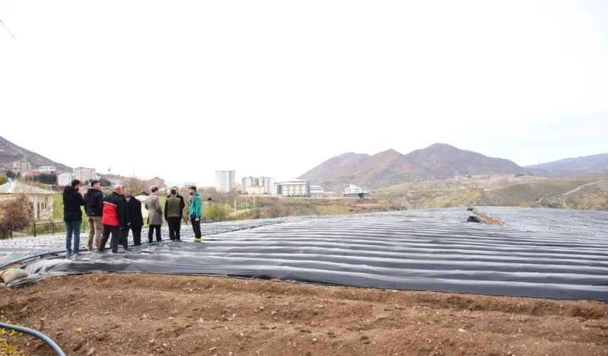 Batman Sason'da çilek üreticilerine ziyaret