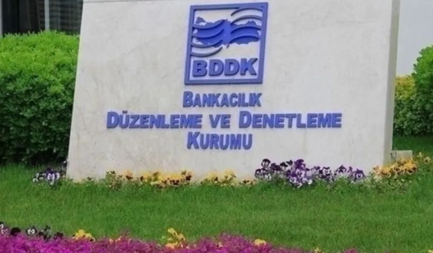 BDDK'dan 'Hayhay Finansman'a faaliyet izni