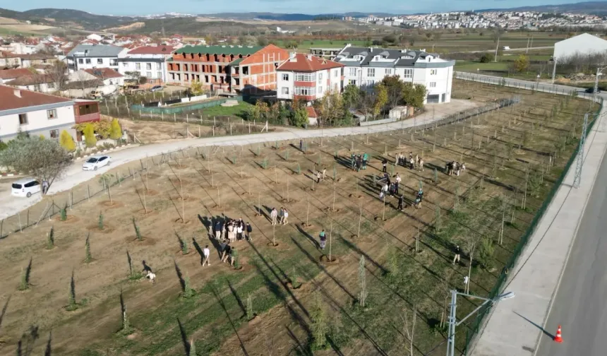 İnegöl'de 572 fidanlı koruluk Akhisar'a nefes oldu