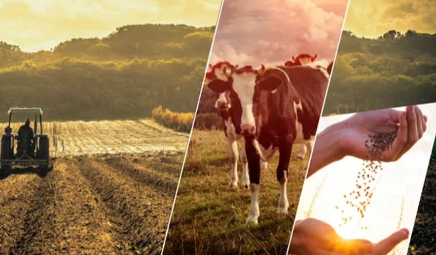 Çiftçiye 1,1 milyar TL'lik destek ödemesi başladı