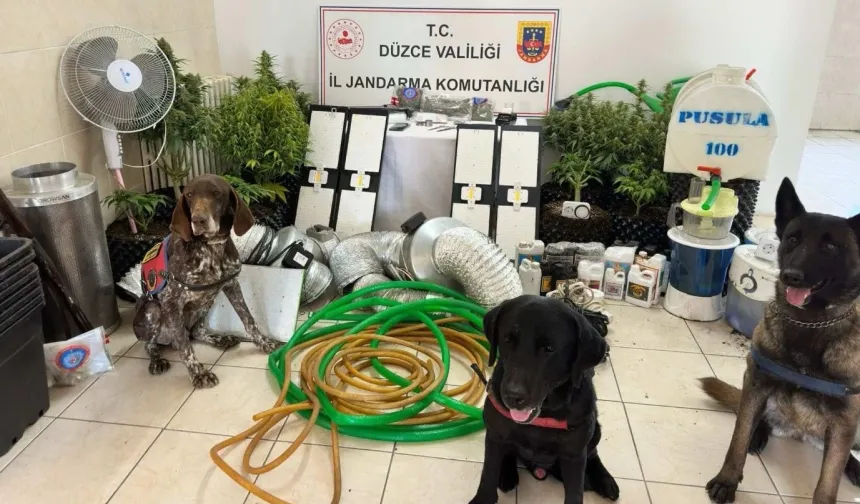 Düzce'de operasyon: 1 gözaltı