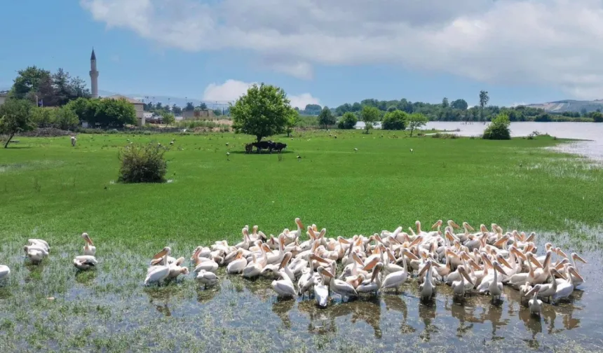 İnegöl Hamzabey'de doğa ile tarih buluşuyor