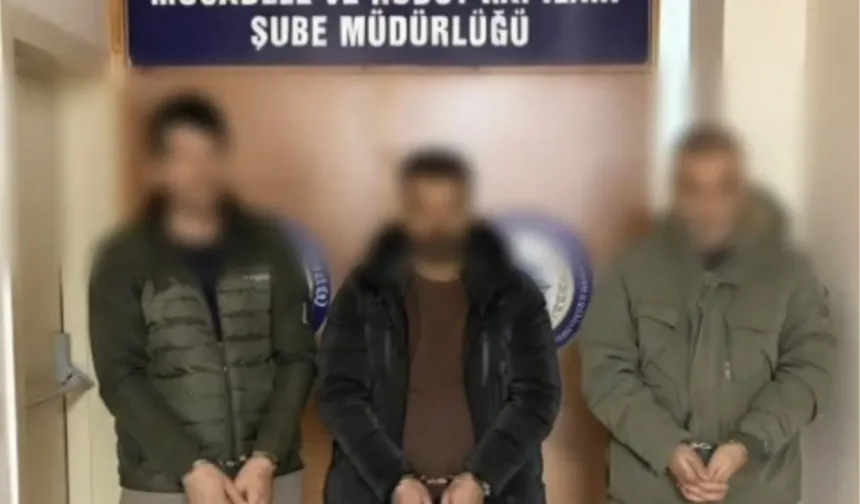 Düzce'de göçmen kaçakçılığına 3 tutuklama